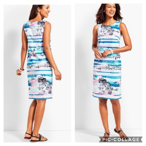 New Artfully Sketched Graphic Design Sheath Dress Size 8 Petite Zip Up Cotton - Picture 1 of 14